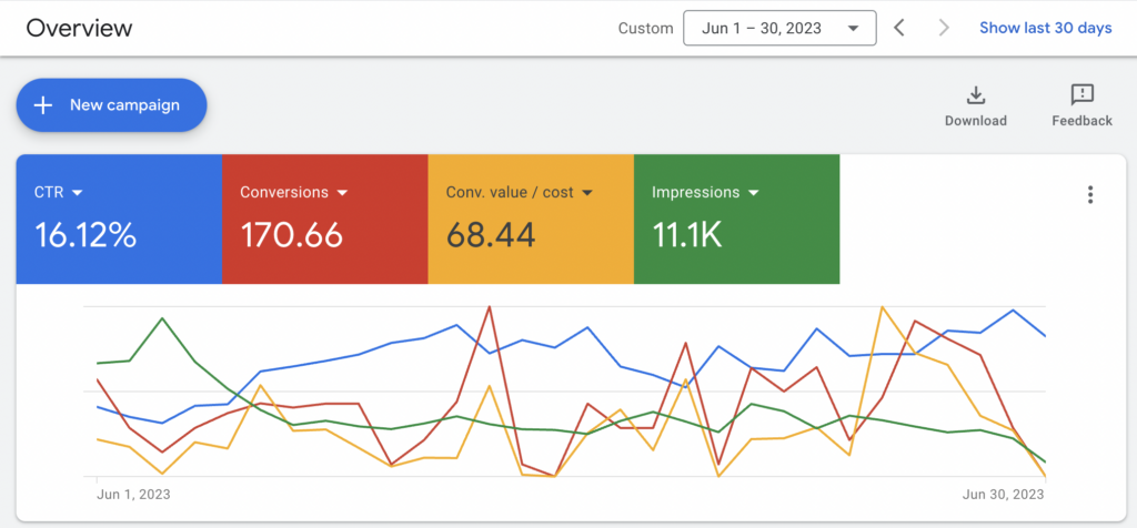 Google Ads Management (Performance Max & Shopping)
